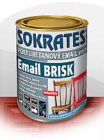 SOKRATES Email BRISK