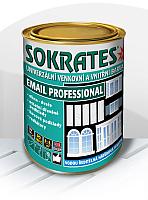 SOKRATES Email Professional